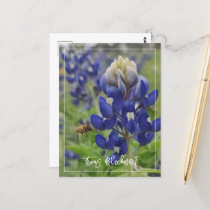 Texas Bluebonnet Briefkaart