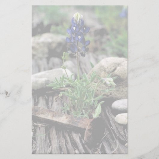 Texas Bluebonnet Briefpapier (Voorkant)