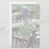 Texas Bluebonnet Briefpapier (Voorkant / Achterkant)