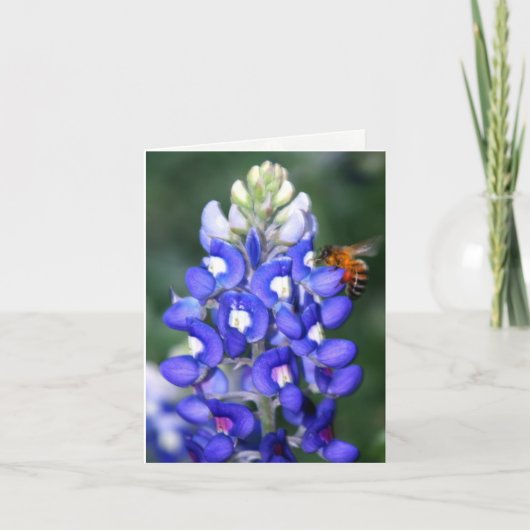Texas Bluebonnet dankt u Bedankkaart (Voorkant)
