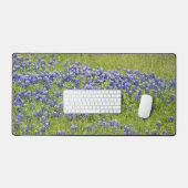 Texas Bluebonnet Fleurs Fleurs sauvages (Clavier et souris)