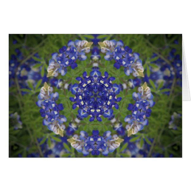 Texas Bluebonnet Kaleidoscope (Devant horizontal)