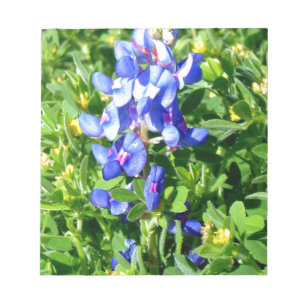 TEXAS BlueBonnet Notitieblok