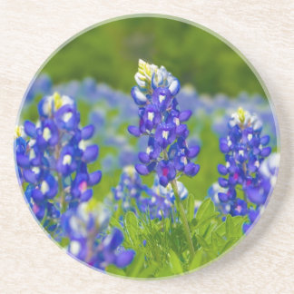 Texas Bluebonnet onderzetter