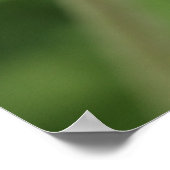 Texas Bluebonnet Poster (Hoek)