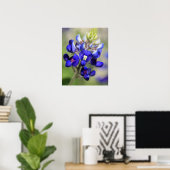 Texas Bluebonnet Poster (Thuiskantoor)
