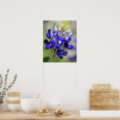 Texas Bluebonnet Poster (Keuken)