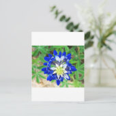 Texas Bluebonnet Top Uitzicht Briefkaart (Staand voorkant)