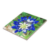 Texas Bluebonnet Top Uitzicht Tegeltje (Zijkant)