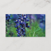 Texas Bluebonnet Visitekaartje (Achterkant)