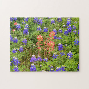 Texas Bluebonnets and Indian PaintBrusFlower Legpuzzel