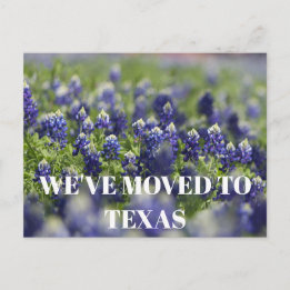 Texas Bluebonnets Bloem Wildflower Blauwe Bloem Briefkaart