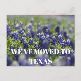 Texas Bluebonnets Bloem Wildflower Blauwe Bloem Briefkaart