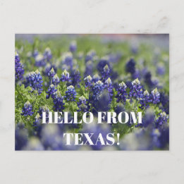 Texas Bluebonnets Bloem Wildflower Blauwe Bloem Briefkaart
