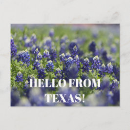 Texas Bluebonnets Bloem Wildflower Blauwe Bloem Briefkaart