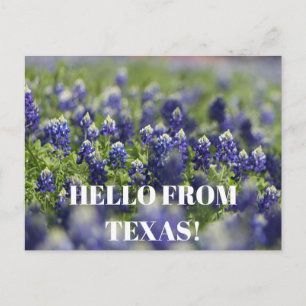 Texas Bluebonnets Bloem Wildflower Blauwe Bloem Briefkaart