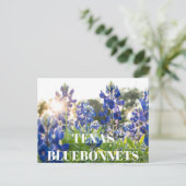 Texas Bluebonnets Bloem Wildflower Blauwe Bloem Briefkaart (Staand voorkant)