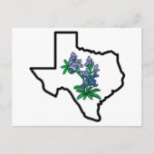 Texas Bluebonnets Briefkaart (Voorkant)