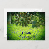 Texas bluebonnets briefkaart (Voorkant / Achterkant)