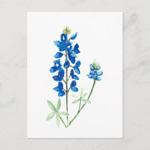 Texas Bluebonnets Briefkaart