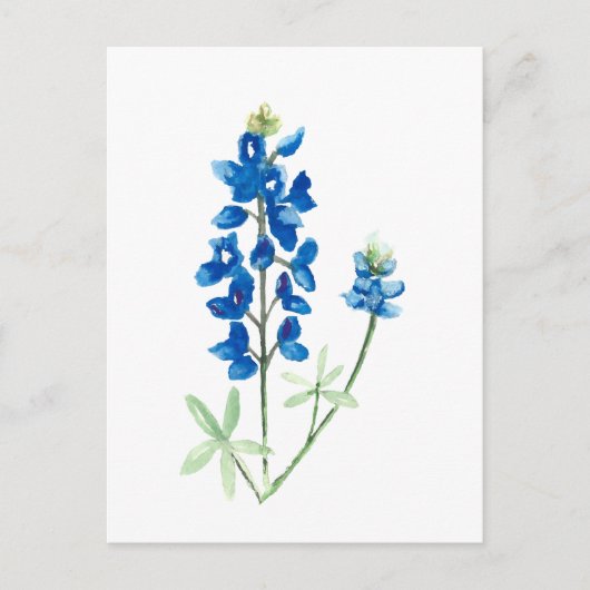 Texas Bluebonnets Briefkaart (Voorkant)