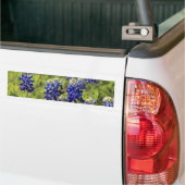 Texas Bluebonnets Bumpersticker (Op Truck)