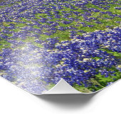 Texas Bluebonnets Country Photographie Art Imprime (Coin)