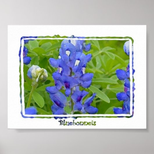 Texas Bluebonnets Digital Waterverf Poster (Voorkant)