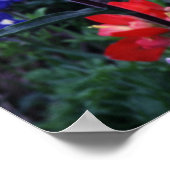 Texas Bluebonnets en Indian PaintBruse Poster (Hoek)