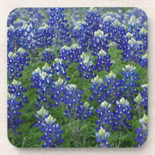 Texas Bluebonnets Field Foto Drankjes Onderzetter