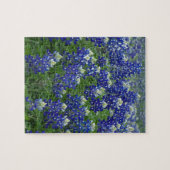 Texas Bluebonnets Field Foto Legpuzzel (Horizontaal)