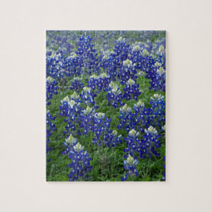 Texas Bluebonnets Field Foto Legpuzzel