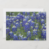 Texas Bluebonnets Field Photo Afstuderen Kaart (Achterkant)
