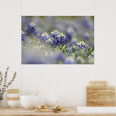 Texas Bluebonnets Fotograaf #5 Poster (Keuken)