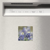 Texas Bluebonnets Fotograaf #7 Magneet (Insitu (Vaatwasser))