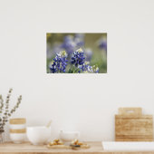 Texas Bluebonnets Fotograaf #7 Poster (Keuken)
