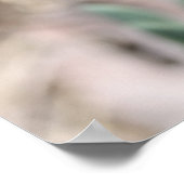 Texas Bluebonnets Fotograaf #8 Poster (Hoek)