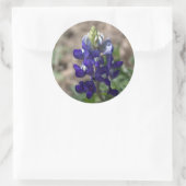 Texas Bluebonnets Fotograaf #9 Ronde Sticker (Tas)