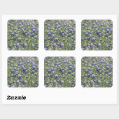 Texas Bluebonnets Fotograafserie #11 Vierkante Sticker (Vel)