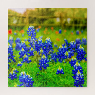 Texas Bluebonnets Indian Floral Natuur Travel Legpuzzel