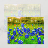 Texas Bluebonnets Indian PaintBrusal Briefkaart (Voorkant / Achterkant)