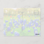 Texas Bluebonnets Indian PaintBrusal Briefkaart (Achterkant)
