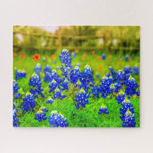 Texas Bluebonnets Indian PaintBrusal Legpuzzel (Horizontaal)