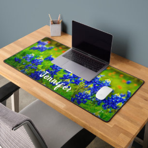 Texas Bluebonnets Indian Paintbrush Nom Art