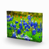 Texas Bluebonnets Indiande naam van de Paintpensfa Fotoblokken (Rechts)