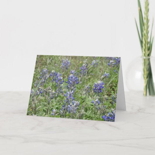 Texas Bluebonnets Kaart (Voorkant)