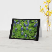 "Texas Bluebonnets " Kaart (Gele Bloem)