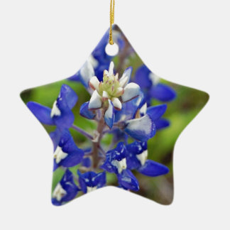 Texas Bluebonnets Keramisch Ornament