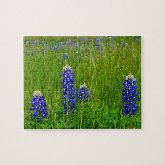 Texas Bluebonnets Legpuzzel