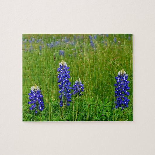 Texas Bluebonnets Legpuzzel (Horizontaal)